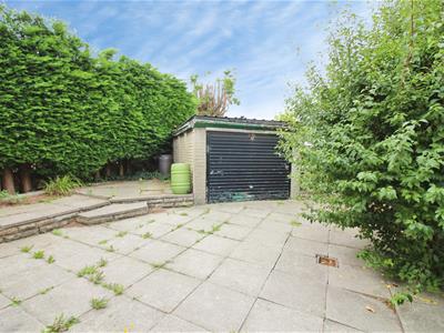 Picture 9